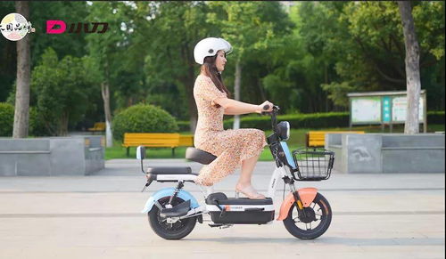 超標電動車退場，綠色出行新選擇 哪些電動車值得換購？