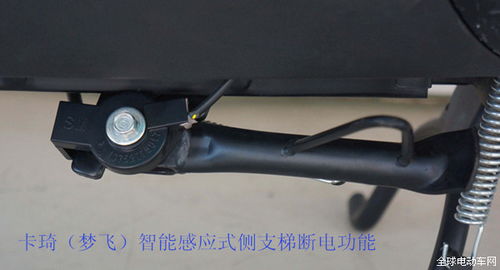 綠能電動車實現多元化升級，重磅來襲引領行業(yè)新浪潮