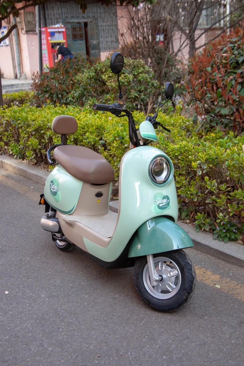 春游出行好伴侶 性價比高的電動車推薦，為175身高量身定制